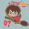 Картина по номерам - Harry Potter: Полет на метле ©Warner Bros.
