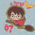 Картина за номерами - Harry Potter: Політ на мітлі ©Warner Bros.