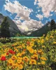 Картина за номерами - Величні Альпи