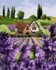 Картина за номерами - Лавандовий будиночок