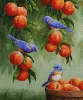 Картина за номерами - Дрозди і персики
