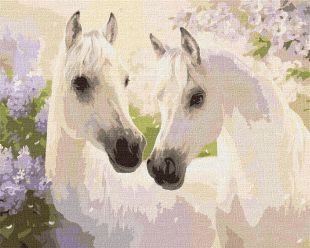 Painting by numbers - Pair of horses 