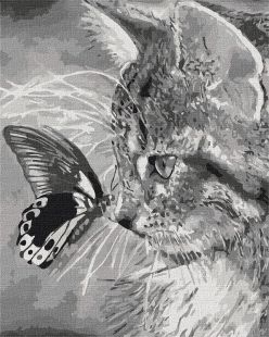 Painting by numbers - Kitten and butterfly 