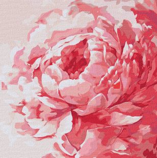 Painting by numbers - Pink peony 