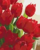 Картина за номерами - Коханій