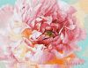 Painting by numbers - Gentle peony ©Ira Volkova