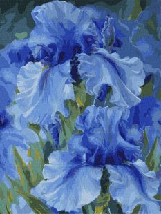 Painting by numbers - Blue irises ©Julia Tomesko