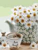 Painting by numbers - Chamomile tenderness 