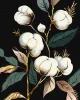 Painting by numbers - Snow-white cotton with extra metallic paints ©art_selena_ua