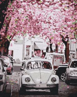 Painting by numbers - Volkswagen Beetle 