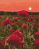 Картина за номерами - Макова галявина