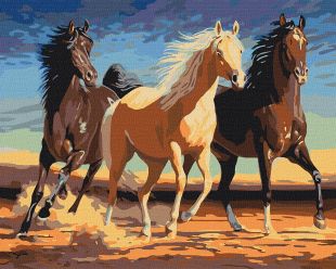 Painting by numbers - Herd 2 