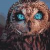 Painting by numbers - Mysterious owl 