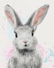 Painting by numbers - Sugar rabbit 