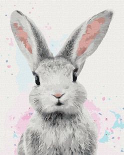 Painting by numbers - Sugar rabbit 
