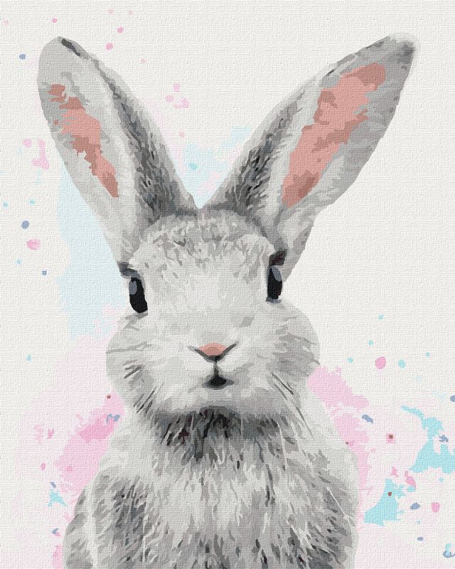 Painting by numbers - Sugar rabbit 