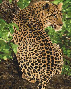 Painting by numbers - Leopard 