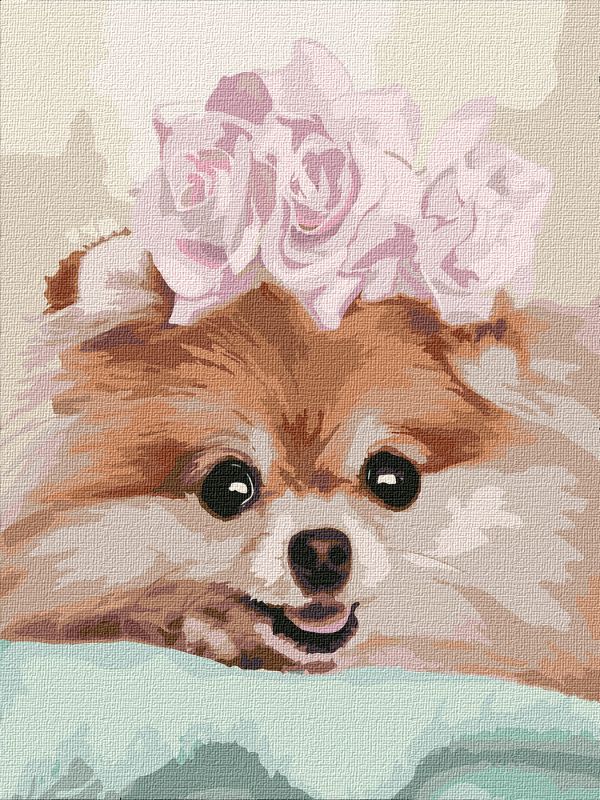 Painting by numbers - Darling 