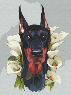 Painting by numbers - Majestic Doberman