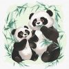 Картина за номерами - Пандочка та мама