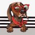 Painting by numbers - Stylish dachshund