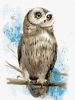 Painting by numbers - Wise look