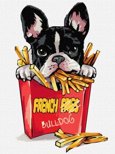 Painting by numbers - Little bulldog