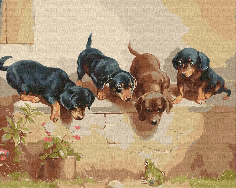 Картина за номерами - Несподівана зустріч ©Carl Reichert