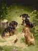 Painting by numbers - Puppies games ©Carl Reichert