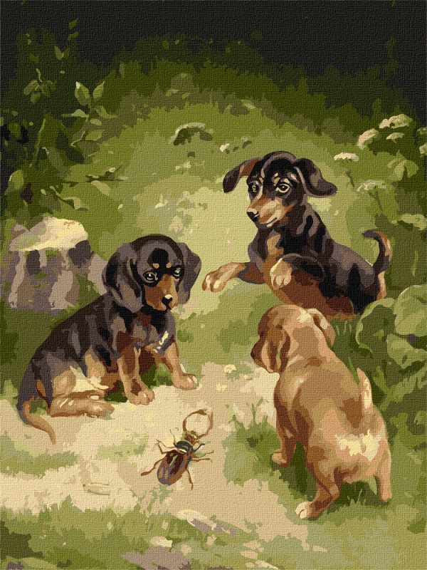 Painting by numbers - Puppies games ©Carl Reichert
