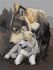 Painting by numbers - Wolf's tenderness