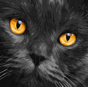 Painting by numbers - Amber eyes