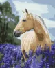 Картина за номерами - Прогулянка лавандовим полем