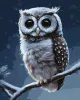 Painting by numbers - Forest owl ©Neag Mircea Marius
