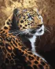 Картина за номерами - Граціозний хижак ©Світлана Теренчук