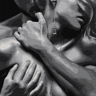 Painting by numbers - Embraced by passion 