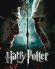 Painting by numbers - Harry Potter: Harry and Voldemort with extra metallic paints ©Warner Bros.