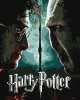 Картина по номерам - Harry Potter: Гарри и Волдеморт с красками металлик extra ©Warner Bros.