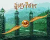 Картина по номерам - Harry Potter: Золотой снитч с красками металлик extra ©Warner Bros.