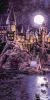Картина по номерам - Harry Potter: Прибытие в Хогвартс с красками металлик extra ©Warner Bros.