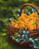 Картина за номерами - Сонце у кошику