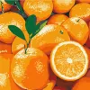 Картина за номерами - Соковитий апельсин