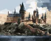 Картина по номерам - Harry Potter: Хогвартс днем ©Warner Bros.