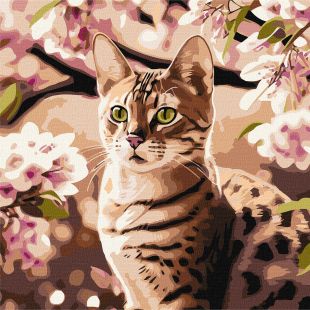 Картина за номерами - Кошеня в саду ©art_selena_ua