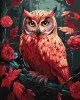 Картина по номерам - Красочная совушка с красками металлик extra ©art_selena_ua