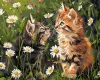 Painting by numbers - Cats in flowers ©art_selena_ua