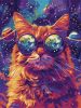Картина по номерам - Звездные очки  ©art_selena_ua