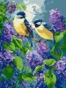 Картина за номерами - Весняний дует ©art_selena_ua