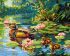 Painting by numbers - Duck family ©art_selena_ua