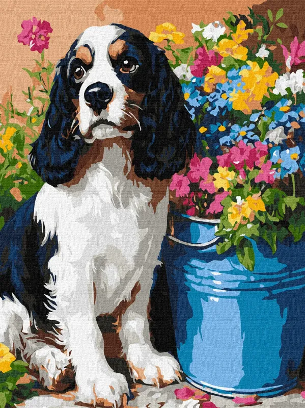 Картина за номерами - Милий спанієль ©art_selena_ua